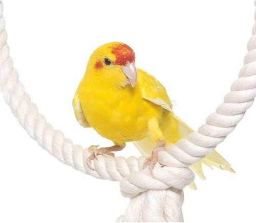 Miniatura 9 de Cuerda de macramé de algodón de 0.394 in, cuerda trenzada de 38 pulgadas de grosor para manualidades, decoración de nudos, juguetes para mascotas,