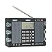 Tecsun H501 Digital Worldband AM/FM Shortwave Longwave Radio with SSB Reception, Dual Speakers, & MP3 Player, Matte Black