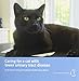 Caring for a cat with lower urinary tract disease
