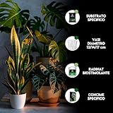 Zoom IMG-1 zoma kit rinvaso per piante Zoom IMG-1 zoma kit rinvaso per piante