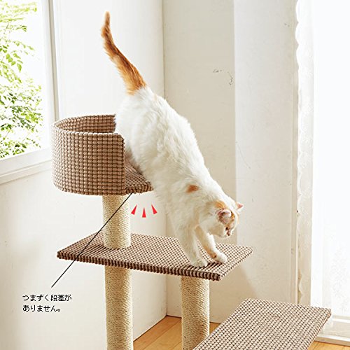 Amazon | ローステップタワー（高さ97cm 据え置き型 シニア猫 子猫 