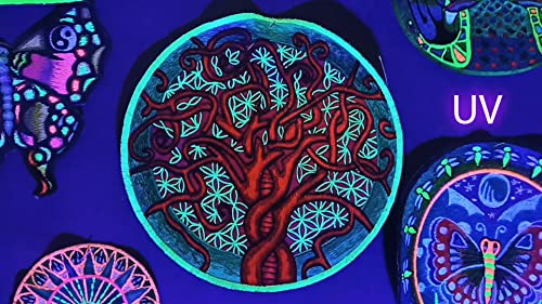 Flower of Life vivigade ImZauberwald - sacro