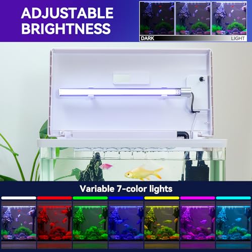 BINANO Binano Beginner Betta 6 Gallon Fish Tank Aquarium Kit Desligamento Inteligente Temporizado, S