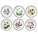 Portmeirion Botanic Garden Bread and Butter Plate, Set of 6 Assorted Motifs