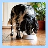 by Amazon Nassfutter für Hunde, Pastete Gemischt, 300g, 20er-Pack