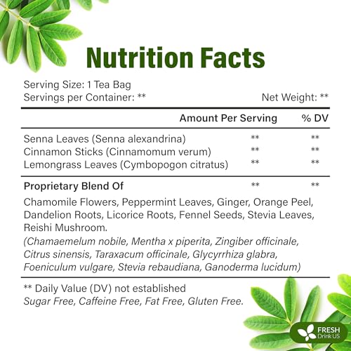 Image of FreshDrinkUS, Evening Time Herbal Tea - 30 Tea Bags - Caffeine-Free Blend with Senna, Peppermint, Chamomile, Licorice, Ginger, Reishi Mushroom - Relaxing Herbal Infusion - Non-GMO & Natural