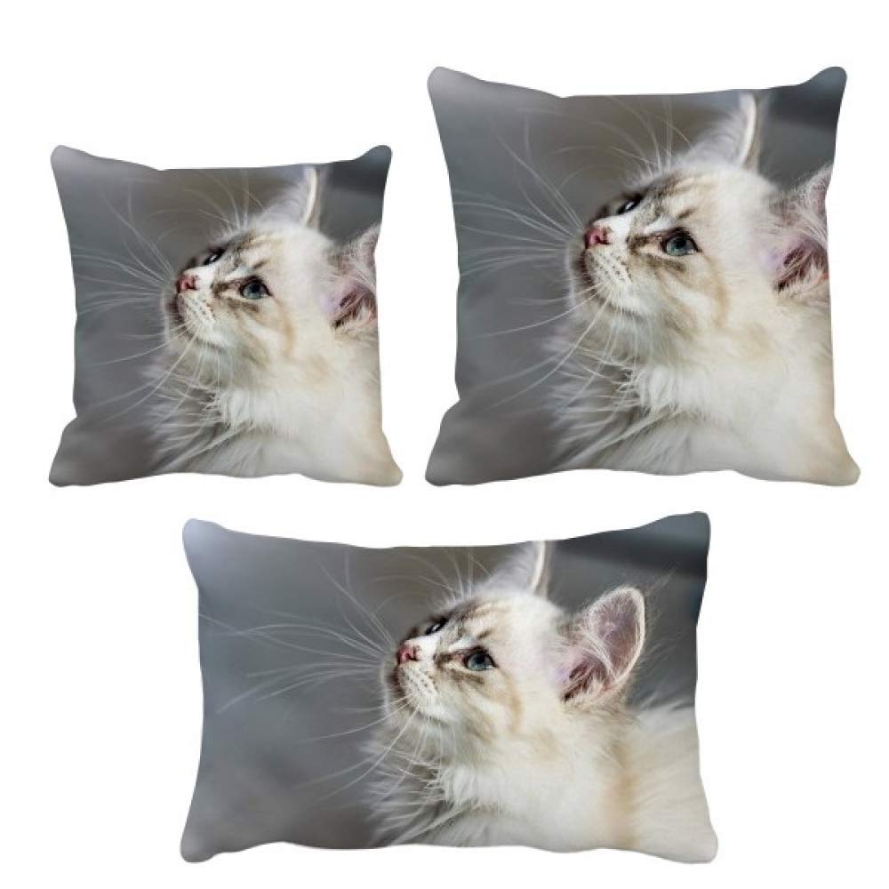 Housse de coussin chat blanc pour célébrer l'amour des animaux
