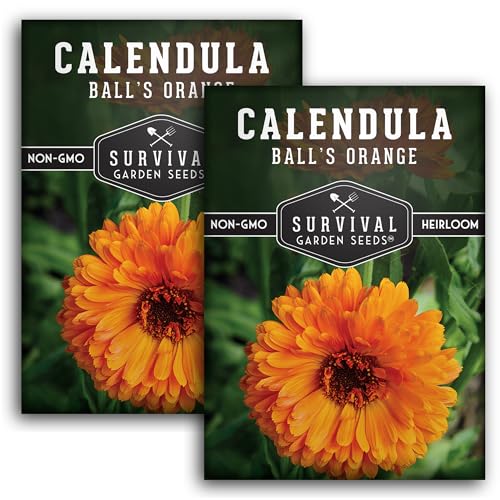 Ball’s Orange Calendula Seeds for Planting – Medicinal Herb & Edible Flower with Bright Orange Blooms – Heirloom Pot Marigold for Skin Care & Teas – Survival Garden Seeds (2 Packs)