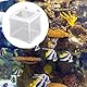 2 Stück Aufzuchtbecken Aquarium, Aquarium Fische Brutkasten Aquarium Isolation Netz Ablaichkasten Fischzuchtkasten mit Saugnapf Laichkasten für Aquarium Baby Fisch, 16x14x15 cm