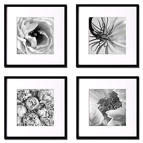 Yisunf 12X12 Picture Frame Black Set Of 4, Wooden Square Photo Frame, Display Pictures 8X8 With Mat Or 12X12 Without Mat, Wall Gallery Photo Frames, Wall Or Table-Top, Square Gallery Poster Frames, Home & Office Decor Collage - Mountig Hardware Included #TOP27
