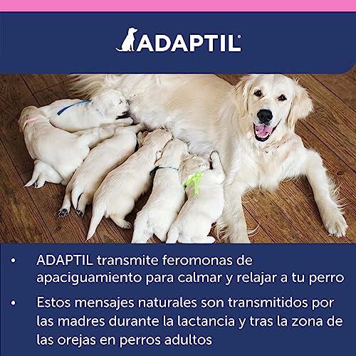 Adaptil Junior - Antistress für Welpen - Anpassung an Zuhause, Lernen, Bildung, Lloros, allein stehend - Halsband für Welpen