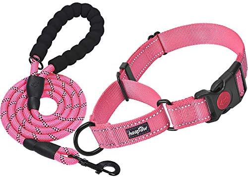 Haapaw 2 Packs Martingale Dog Collar with Quick Release Buckle Reflective Dog Training Collars for Small Medium Large Dogs (Collar+Leash,L Neck 17"-21", Pink+Pink, 2 Packs)