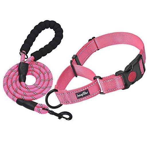 Haapaw 2 Packs Martingale Dog Collar with Quick Release Buckle Reflective Dog Training Collars for Small Medium Large Dogs (Collar+Leash,L Neck 17"-21", Pink+Pink, 2 Packs)