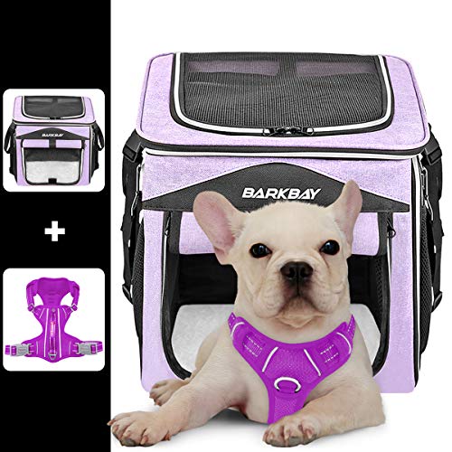 Take Your Dog Everywhere with You The Benefits of the Barkbay Dog Bike