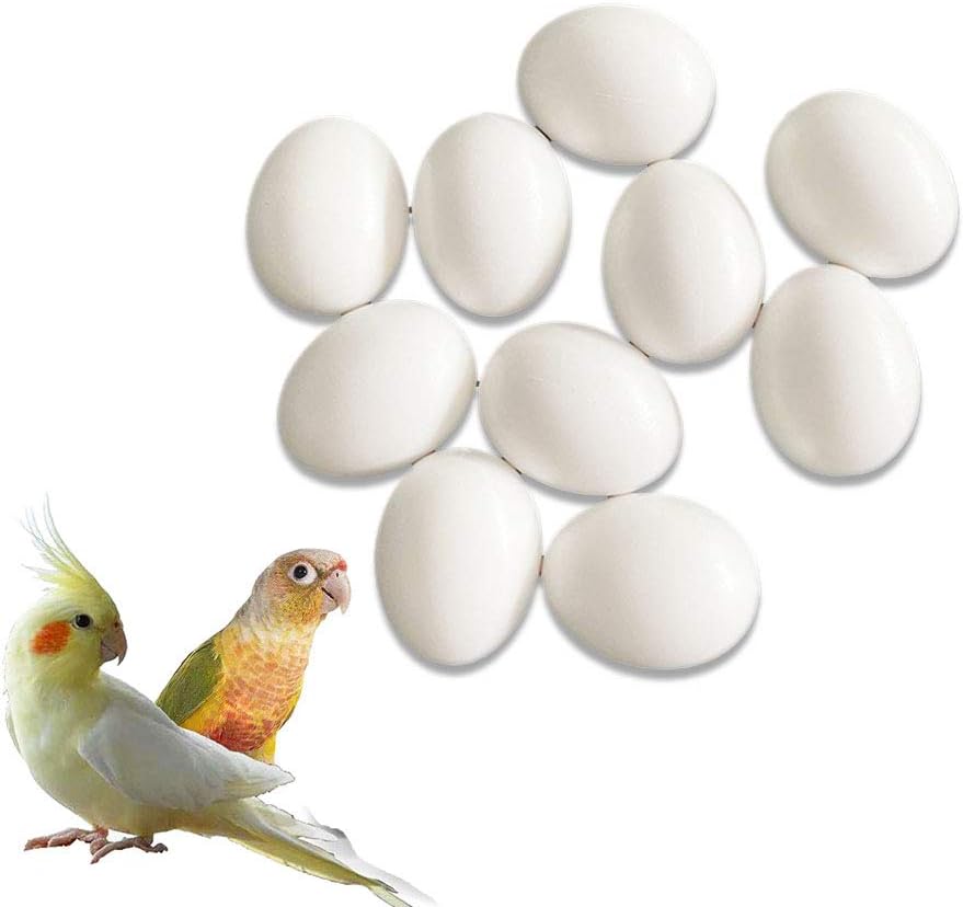 kio 8pcs Plastic Eggs Simulated Bird Eggs,Solid Parrot Cockatiel Dummy Eggs Hatching Eggs Green Cheek,Trick Birds to Stop Laying Eggs,…