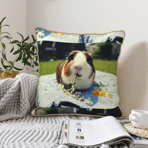 Housse de coussin cochon d'Inde velours finie la déco fade avec ce textile durable - 7