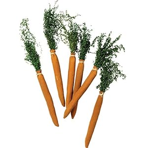 Primitivesbykathyhomedecoraccentcarrotsgreatforhousewarminggiftoranykitchenorlivingroom  Urban Country Home Decor Primitives by kathy home decor accent carrots great for housewarming gift or any kitchen or living room  urban country home decor