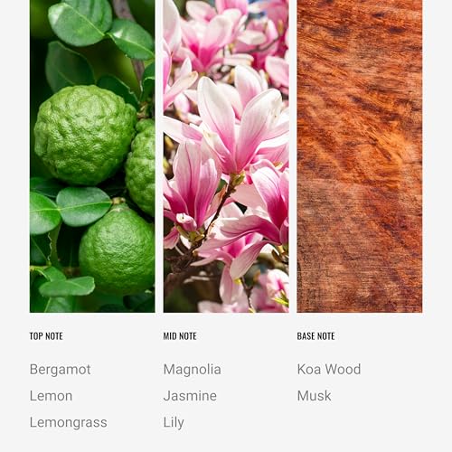 Image of Hotel Collection - 24K Magic - Reed Diffuser Set - Luxury Aromatherapy - Lemon, Bergamot, Black Fig, Cedarwood, Amber, Musk & Blonde Woods - Essential Oil Diffusers - Shelf Decor - 100mL /3.5 FL oz
