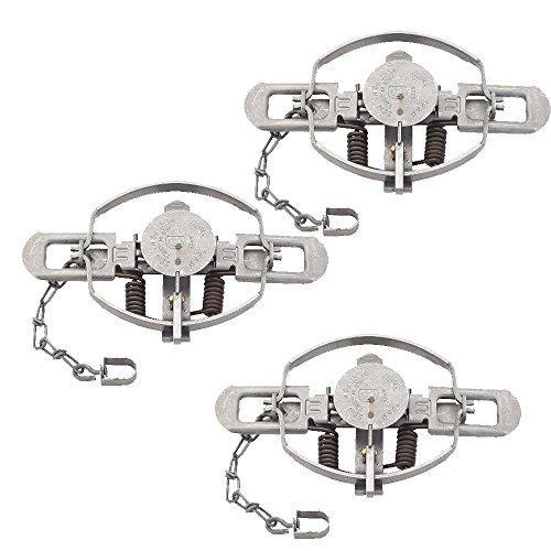 Duke #3 Coil Spring Traps (3 Pack) for Beaver, Bobcat, Coyote, Lynx