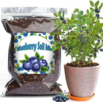Doter Organic Blueberry Soil Mix, Indoor Plants Potting Mix for All Potted Blueberry, Grow Healthy houseplants Indoors