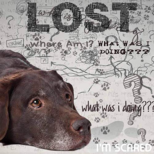 Image of The Blissful Dog Labrador Retriever Age Well Dog Aromatherapy Roll-On Bottle for Your Dog's Peaceful Ageing