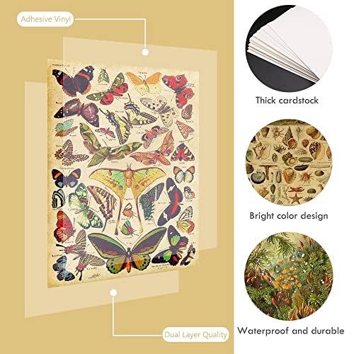 AKBOK Vintages Affiche botanique papillon - Affiche graphique floral - Kit éducatif - Pour la maison, le salon, la chambre à coucher - Décoration murale - Sans cadre - 20 x 25 cm - 9 pièces