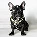 Legendog Dog Neck Chain, Cuban Link Dog Collar Pet Chain Collar Fashion Cool Plastic Pet Chain Necklace for Cat Dog (Golden)