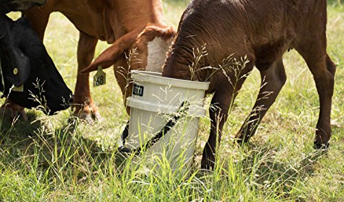 Yeti Loadout 5-Gallon Bucket, Impact Resistant Fishing/Utility Bucket, Tan #TOP7