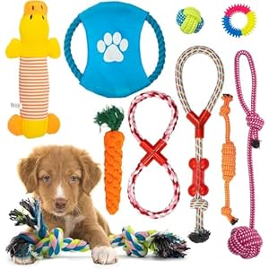Fur & Bone Dog Chew Toys (10-Pack) – Puppy Toys for Boredom – Indestructible Rope & Squeaky Teething Toys for Small & Medium Dogs