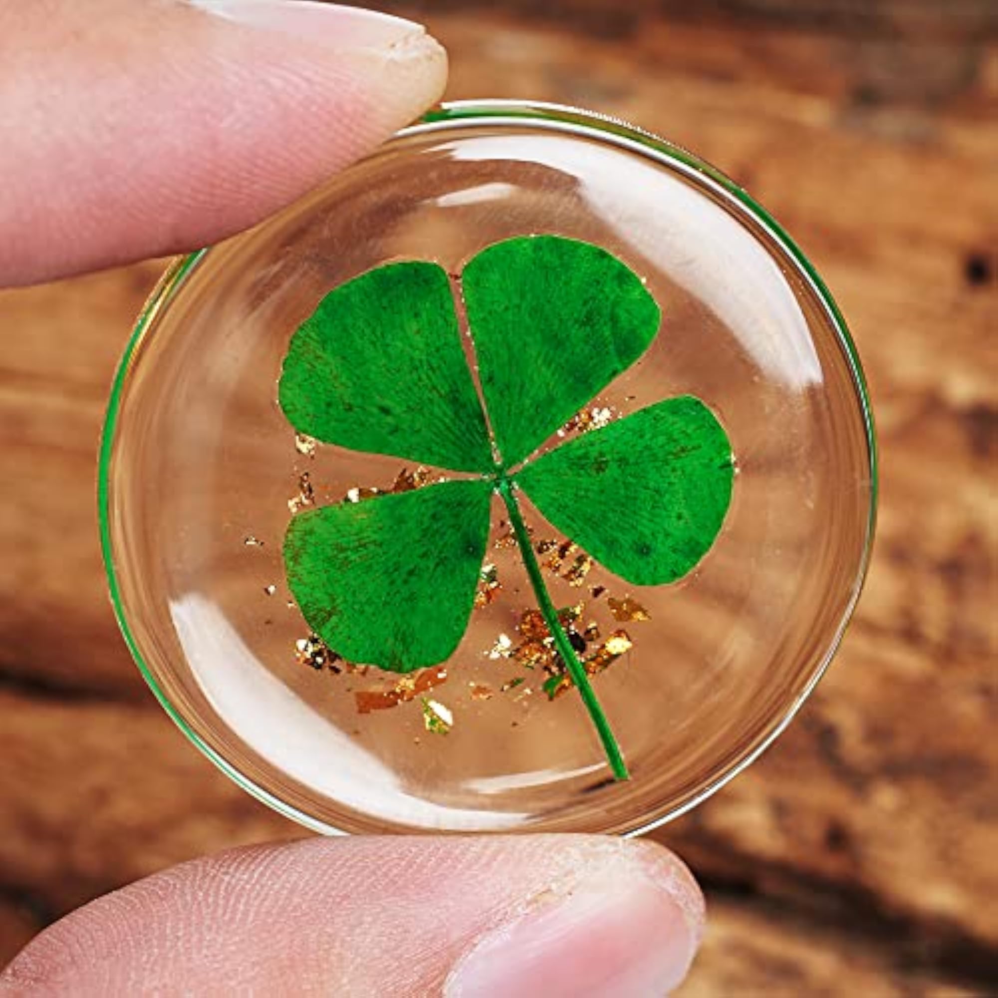 Real Four Leaf Clover Good Luck Charm, Gift for Family
