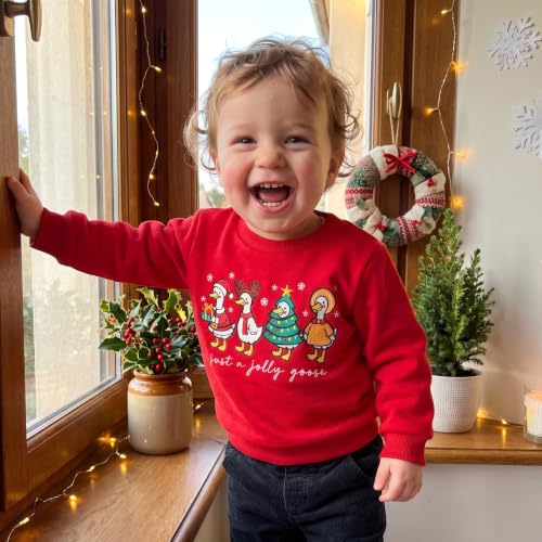 Kids' Jolly Goose Red Sweatshirt, alternative view 4