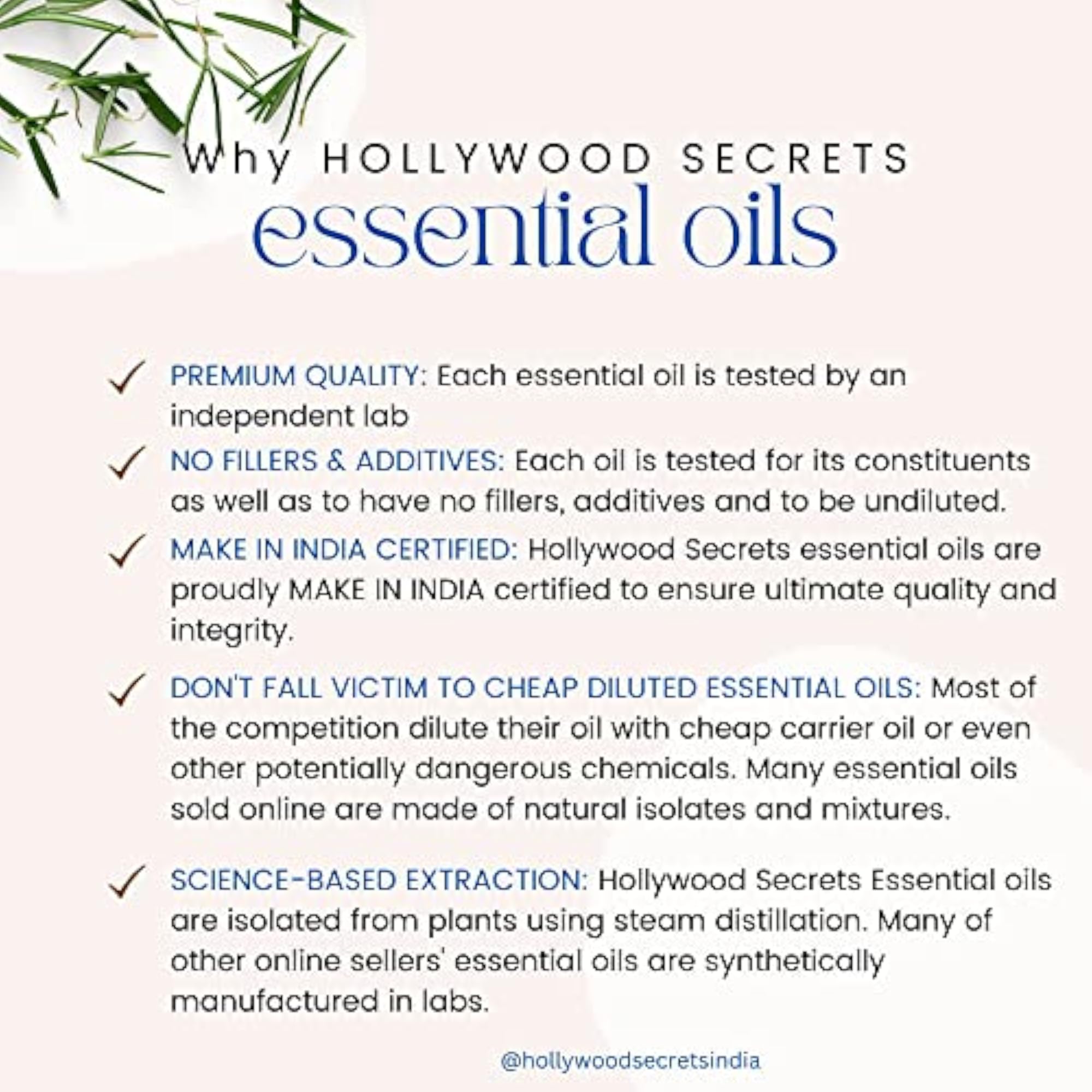 Hollywood Secrets Pure Oregano Essential Therapeutic (50ml)
