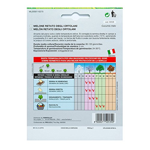 Semillas Melon Cantalupo (3 Gramos): Amazon.es: Bricolaje y ...