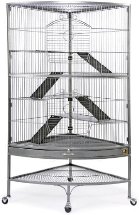 chinchilla cages amazon