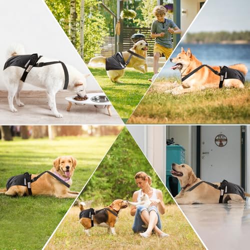 Image of Dog Diapers Female, 3 Pack Puppy Diapers Female, Washable Reusable Dog Diapers with Suspender for Peeing for Small Medium Large Female Dog in Heat Cycle Period Incontinence, Super Absorbent (XL)