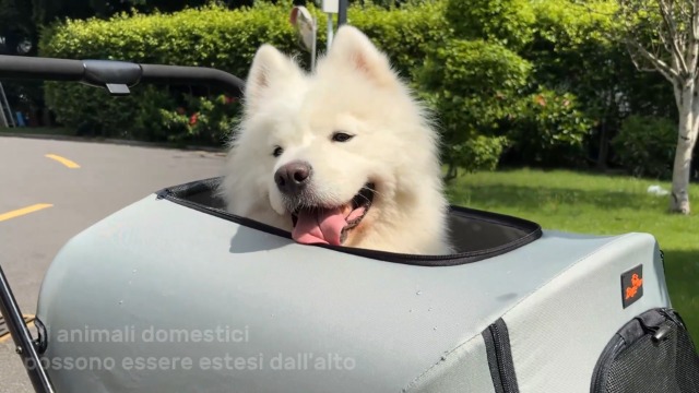 BingoPaw Passeggino Per Cani Pieghevole - Portata 20kg Con Cestino Rimovibile E Copertura Antipioggia - Foto 12