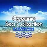 best surf season costa rica  Guided Surf