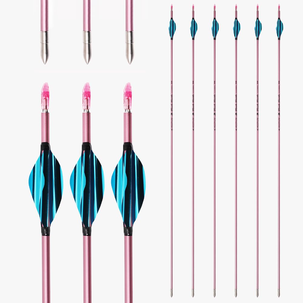 12 Pezzi Blu Lago Piuma a Spirale Frecce Spine 500 600 700 800 900 1000 ID 4,2 mm, per Arco e Frecce Tiro con L'Arco Pratica e Caccia