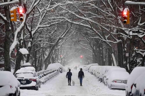 Episode 2 - "Wanna See My Duck?"