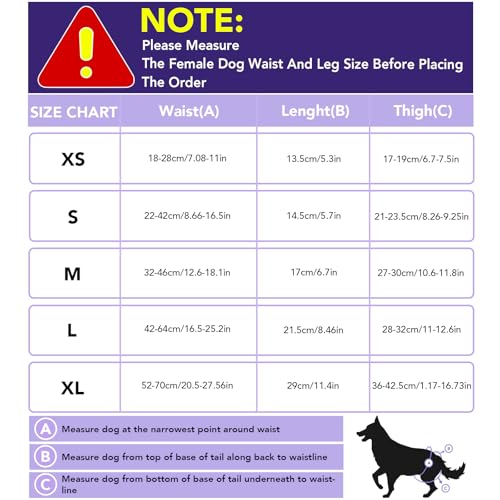 XPCARE Reusable Dog Diapers - 4 Pack Absorbent, Leak-Proof for Female Dogs (Small)