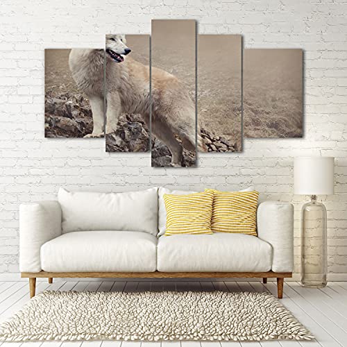 Impression Image Loup Blanc sur Verre acrylique premium - 5