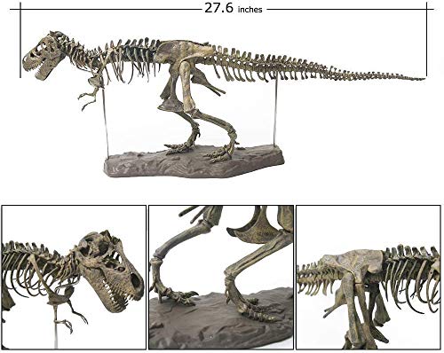 Jinhua Yiyan 3D T-Rex Dinosaur Skeleton Model Puzzles Pre-School Teaching Simulation Educational Toy Soft Non-Toxic Pvc Material Gifts #TOP4