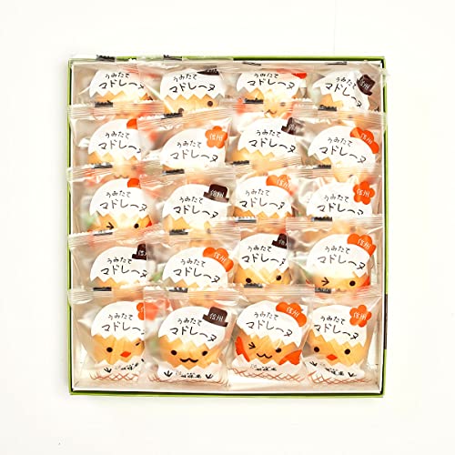 ݂ă}h[k 20pbN v[g v`Mtg j Ԃ  w   C[X^[