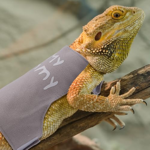 Image of Bearded Dragon Leash and Harness Set, Cute Adjustable Lizard Reptile Harness Costume Clothes with Short Leash for Small Pets Animal Amphibians Chameleons Accessories Outdoor Walking (Style A, Gray)