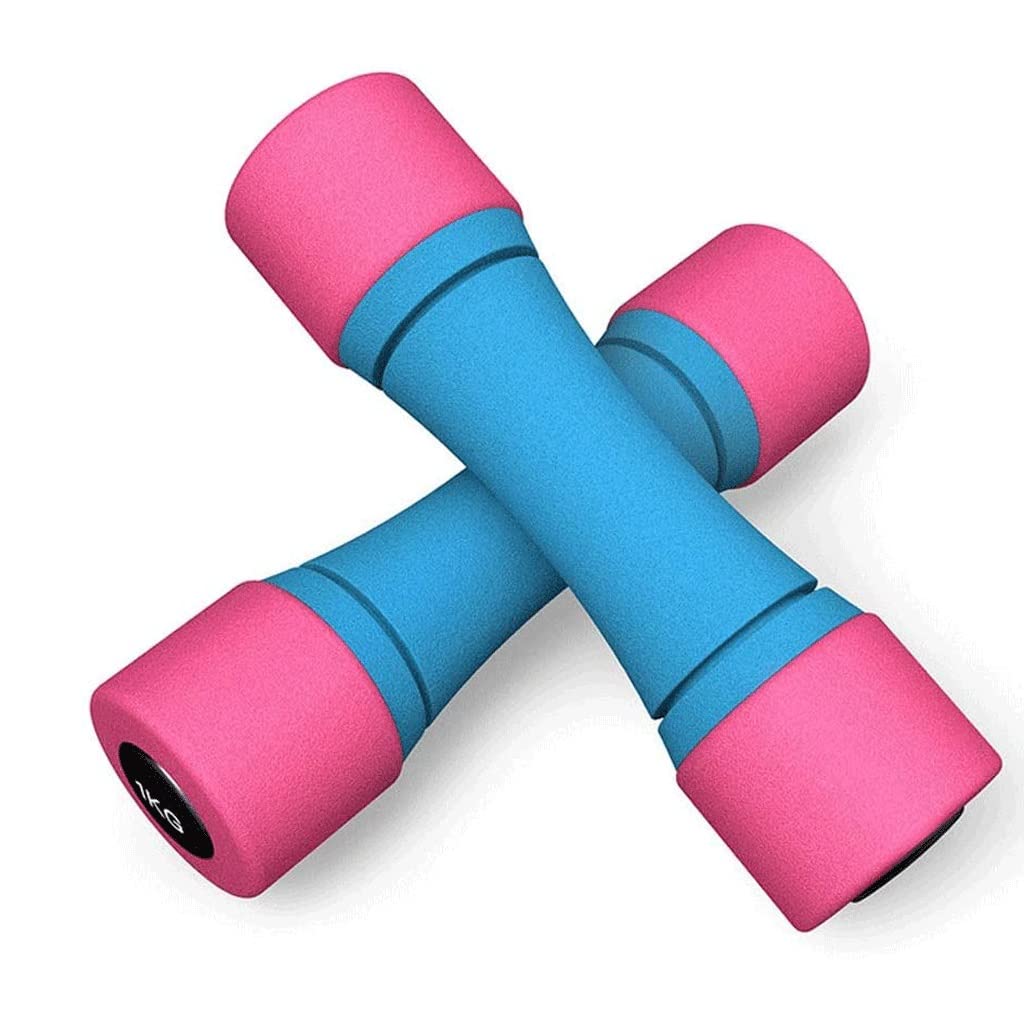 Haltères de musculation 2kg paire stable pour exercice main