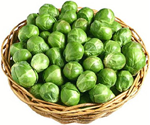 English Heirloom Heritage Brussels Sprouts Early Half Tall 100 Seeds. Certified French Organic Grower