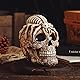 Arola Schädel Kopf Skulptur Spinnen Dekoration, kreative Schädel Desktop Verzierung, Schädel-Sammlerstück für Heimbüro-Schreibtischbedarf.
