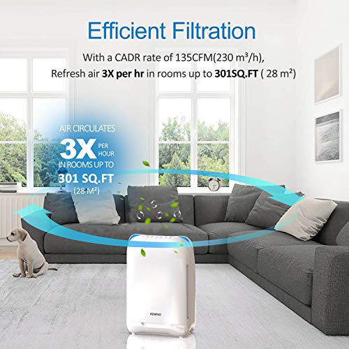 https://m.media-amazon.com/images/I/516cZ1-eEDL._SL500_.jpg