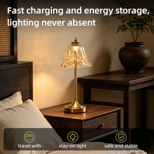 Image of NYRWANA Cordless Rechargeable Glass Table Lamp with 2000mAh Battery, USB-C Charging, Stepless Dimming, 3 Colour Touch Control, Lamp for Bedroom, Living Room, Home Decor (Metal)