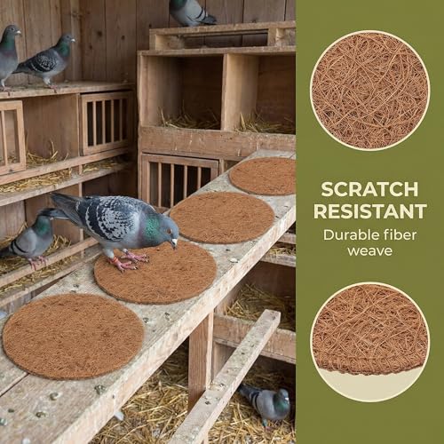 Image of 18 Pcs Practical Bird Pads Pigeon Mat Pigeon Pads Bird Mat Bird Mat Bird Pads Parrot Nest Box Egg Laying